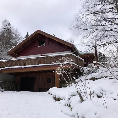Les Cimes Blanches Cledicihome Chalet 10 Pers Spa & Grand Terrain 4 Minutes Des Pistes La Bresse Exterior photo